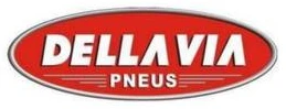 Logo Dellavia Pneus